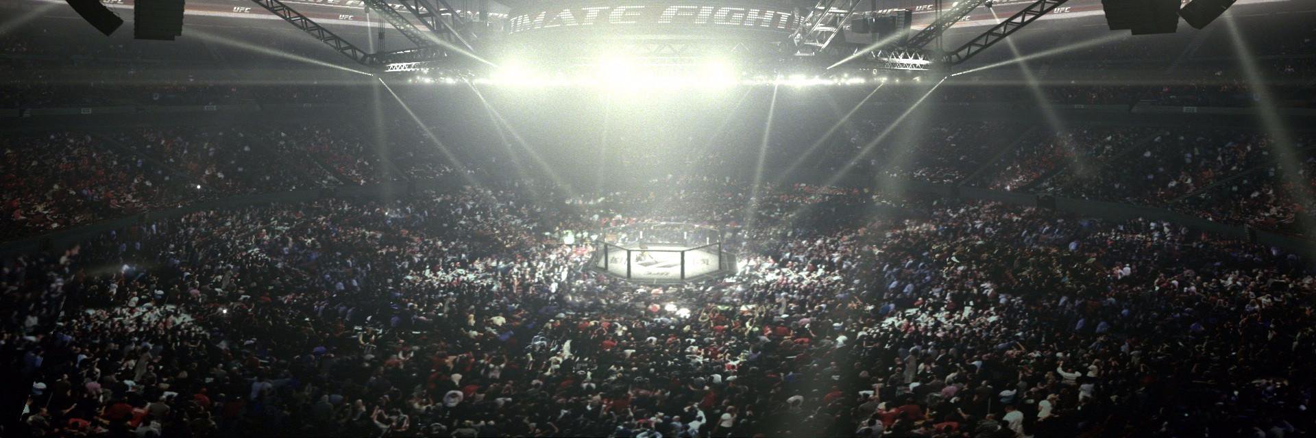 MMA - Hole banner