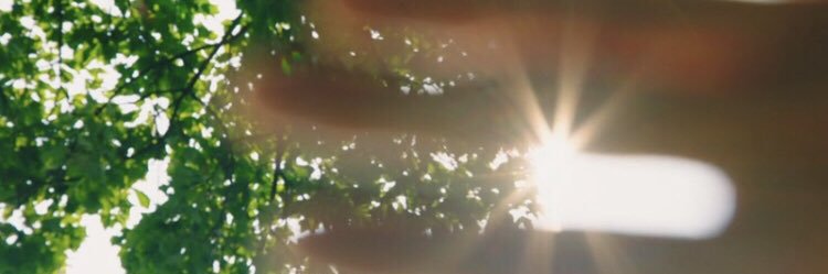 T banner