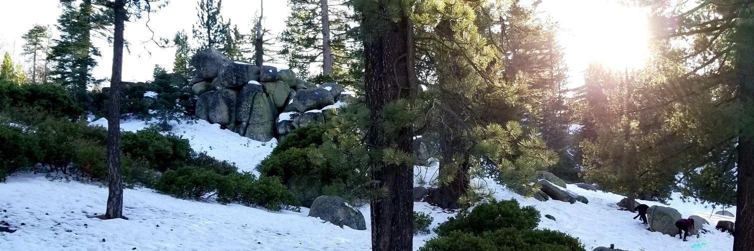 LambdaEpsilonO's profile banner image