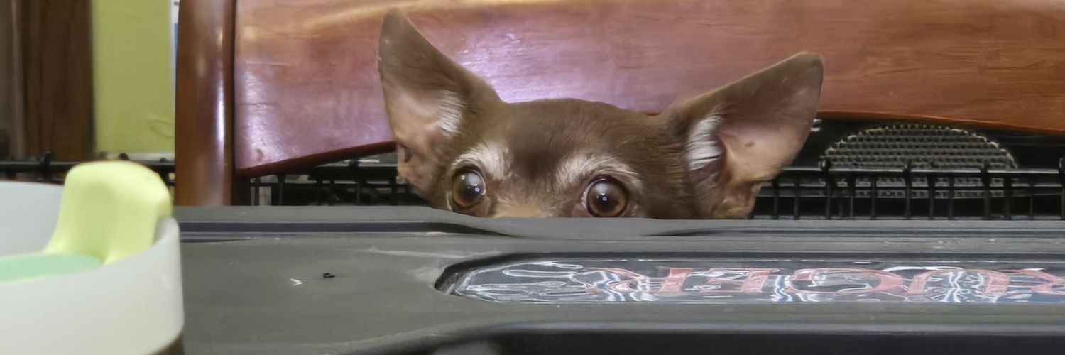 ThyYum's profile banner image
