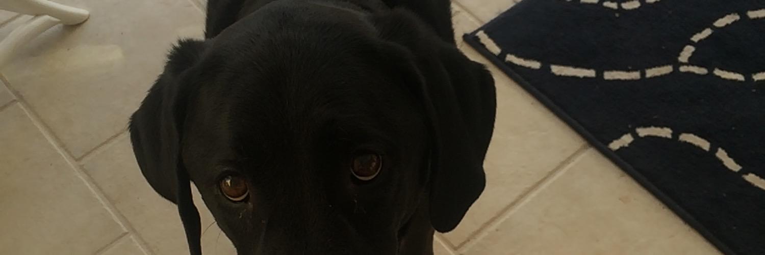 DanMouck's profile banner image