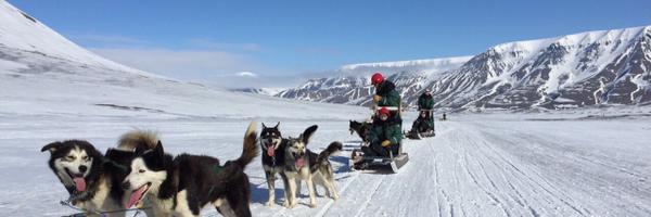 RachelGerrol Profile Banner