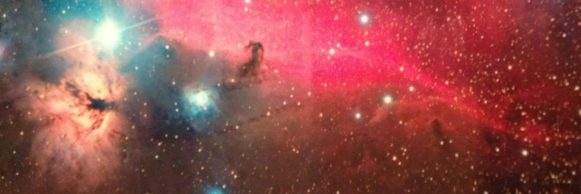 brian bingaman banner