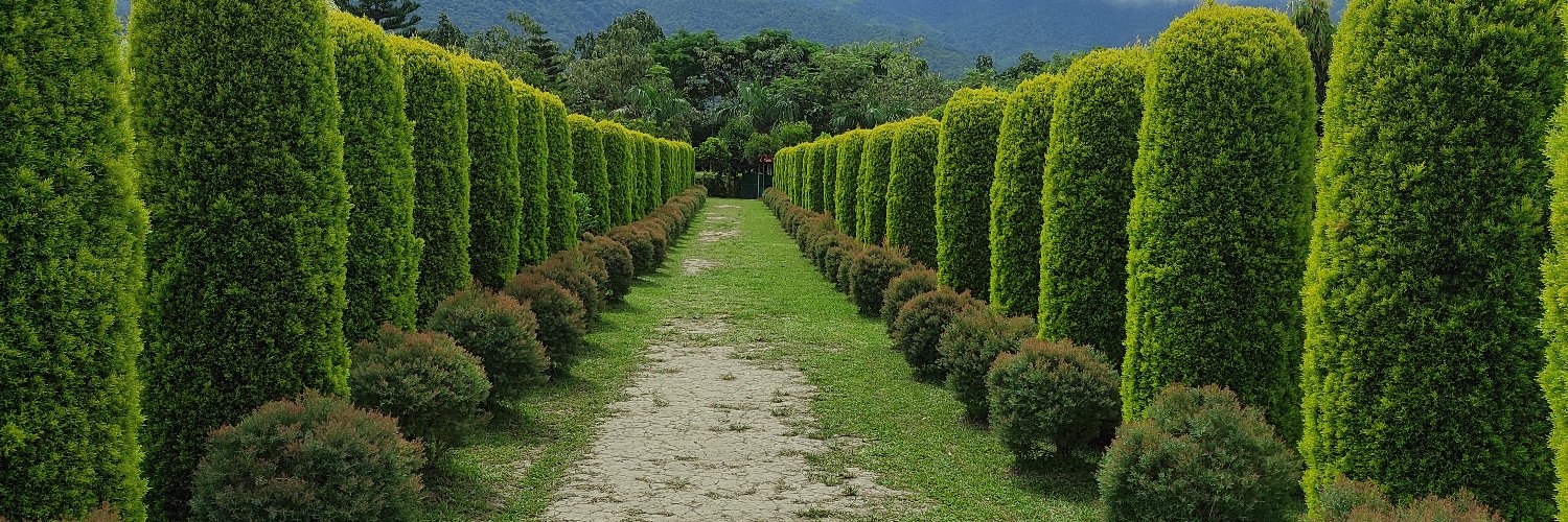 McHaokip's profile banner image