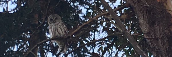 ShellyStouffer Profile Banner