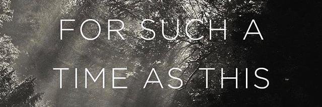crystalsunshyn's profile banner image