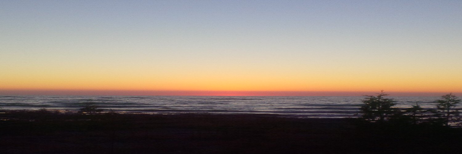 bowessharon's profile banner image