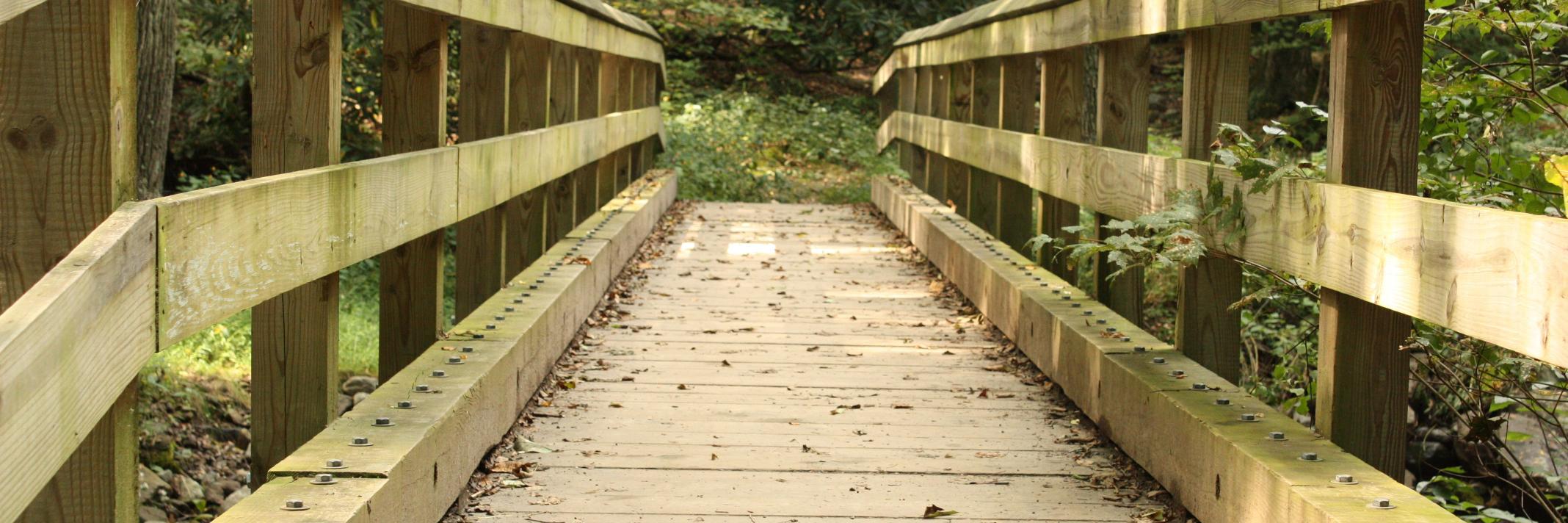 Karen B 🇺🇸 🌻 banner