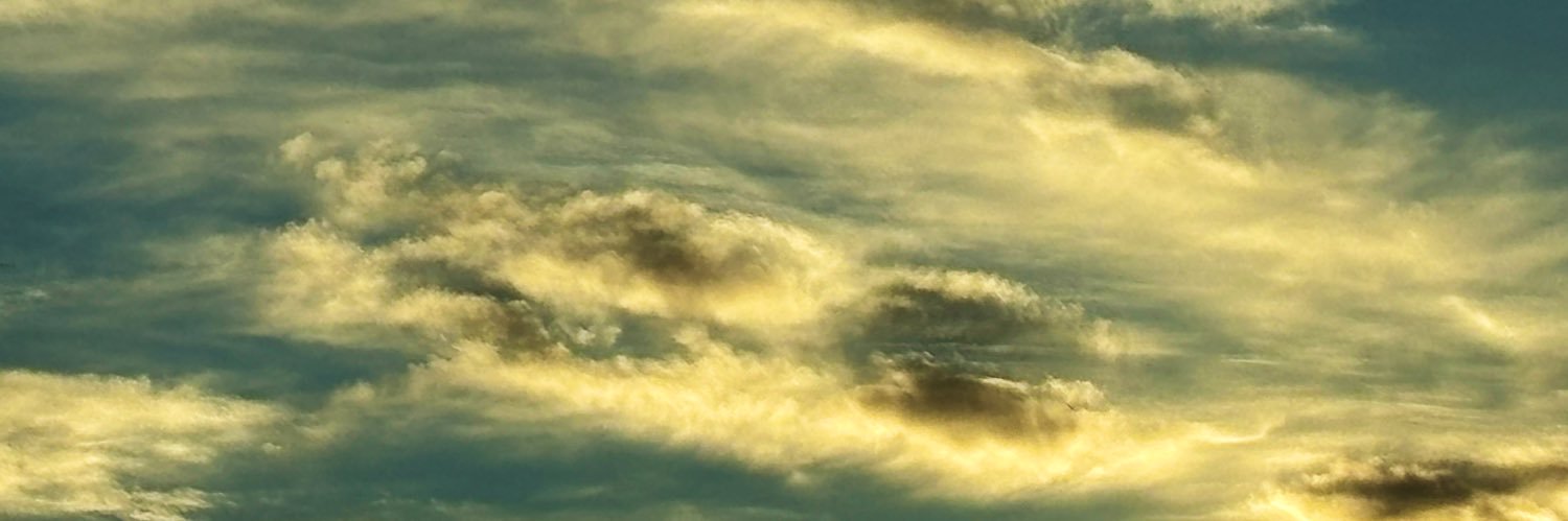 1539ancafe's profile banner image