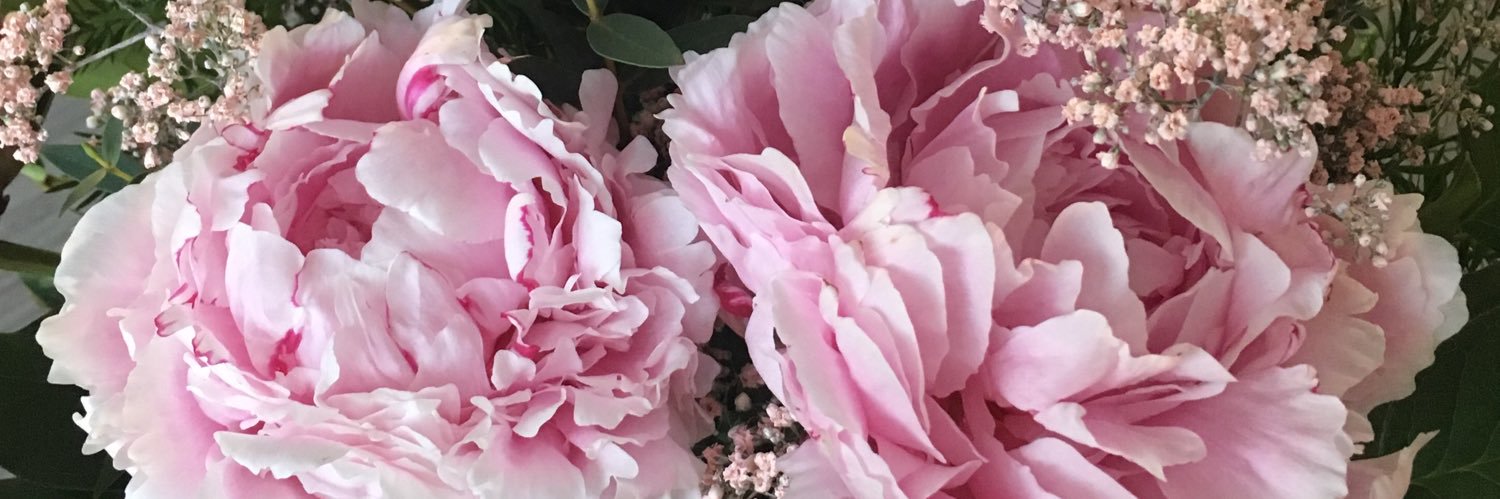 audrey_fltt's profile banner image