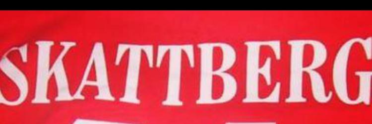 Alexander Skattberg banner