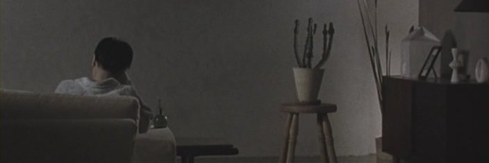 msenka's profile banner image
