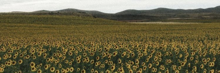 _97irene's profile banner image