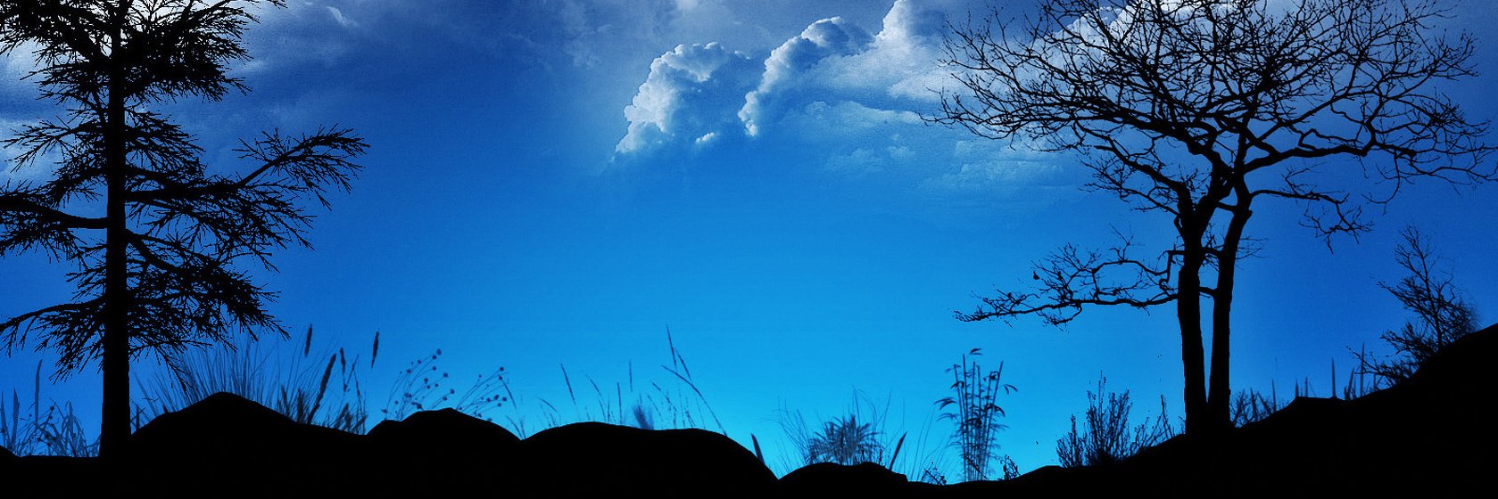 PeterAbrahamAz's profile banner image