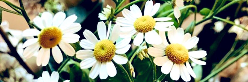 C_Kerri's profile banner image
