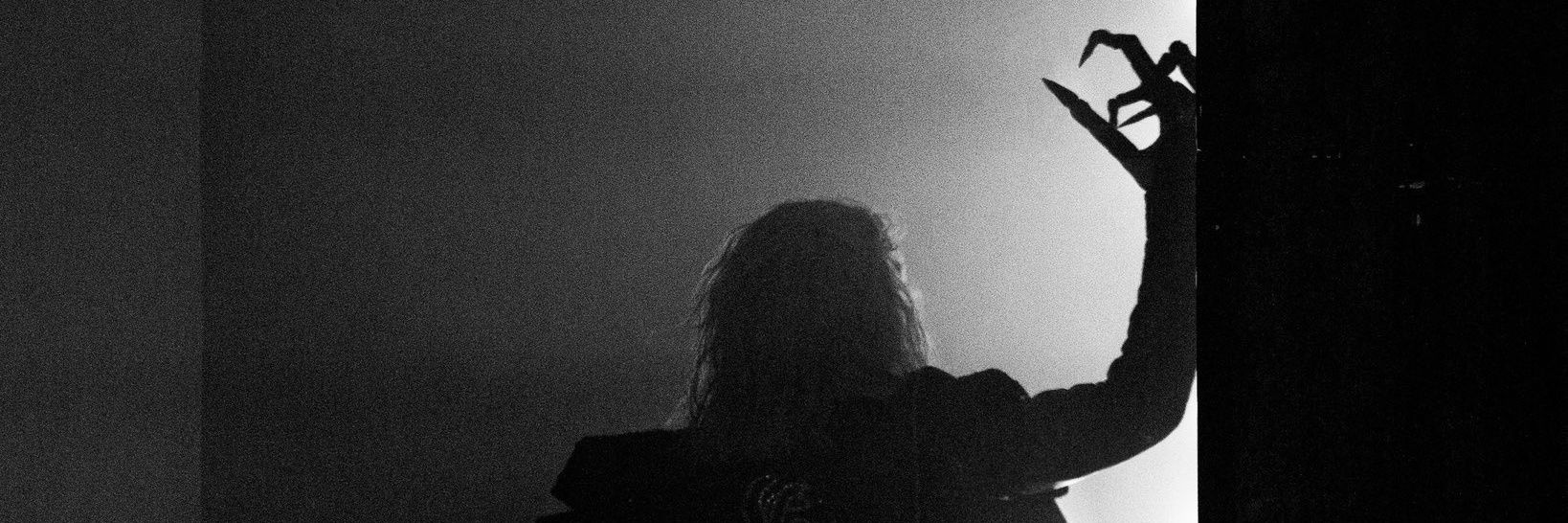 Mr. Brownie 🌈🪽👑 banner