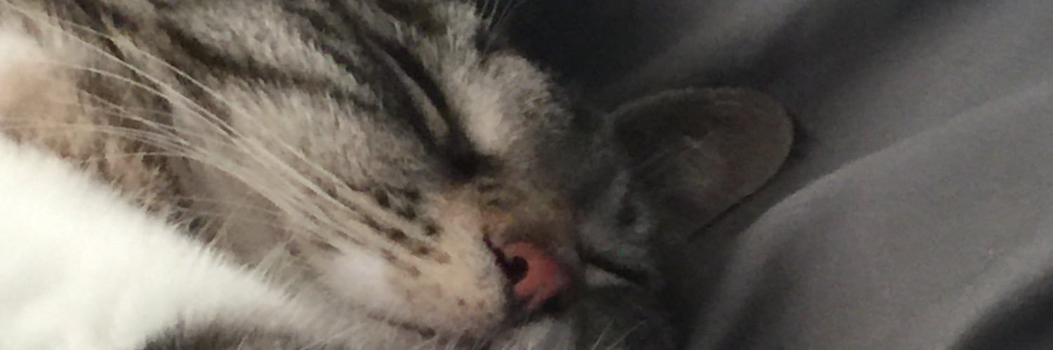 Lilly M🇨🇦 banner