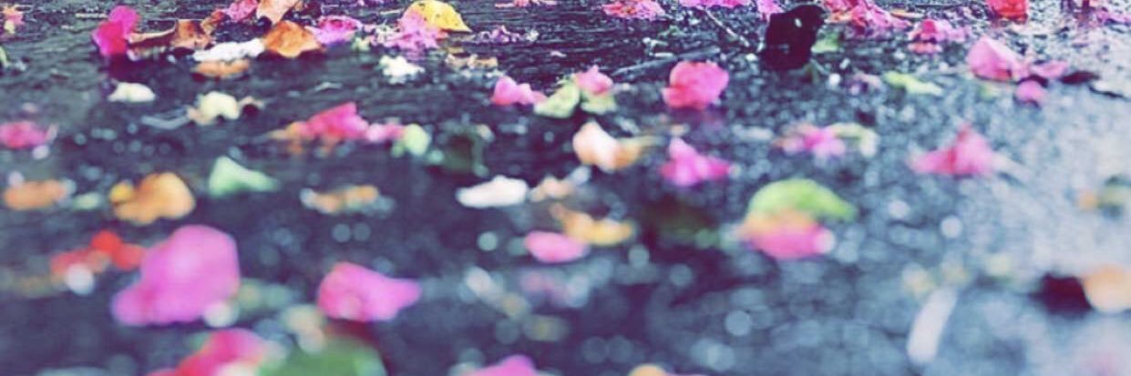 مؤنث سالم 🌬 banner