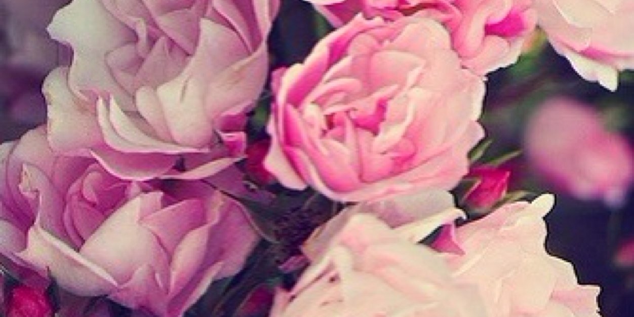 lisapersson12's profile banner image