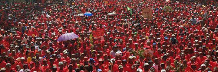 Zwelinzima Vavi's banner