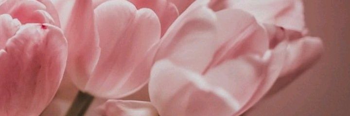 viriboggi's profile banner image