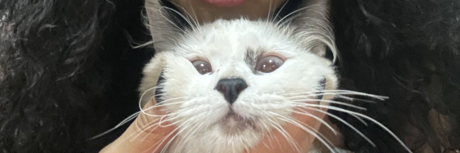 vitoriabenvind's profile banner image