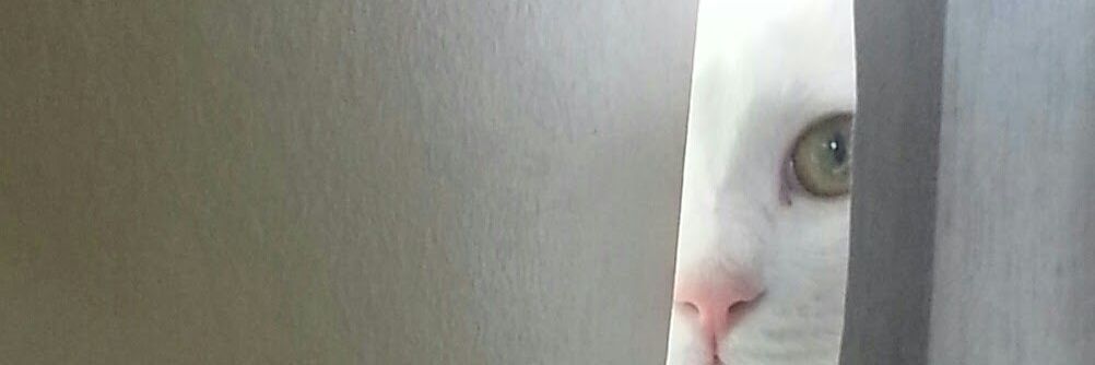 ligomen15's profile banner image