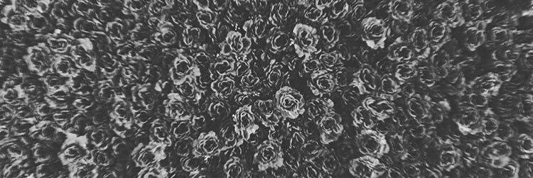 AestheticXbae's profile banner image