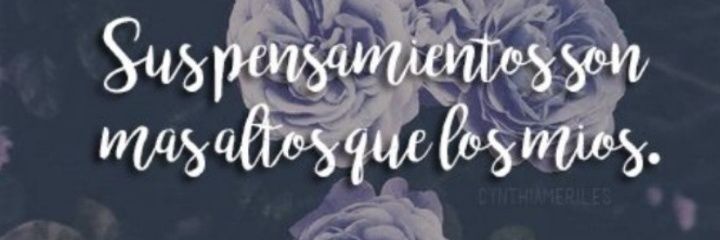 Theanny3's profile banner image