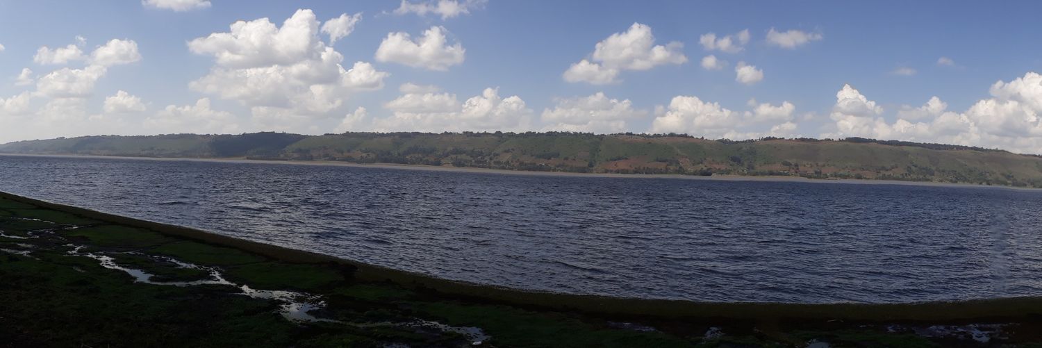 Ricky 🇰🇪 banner