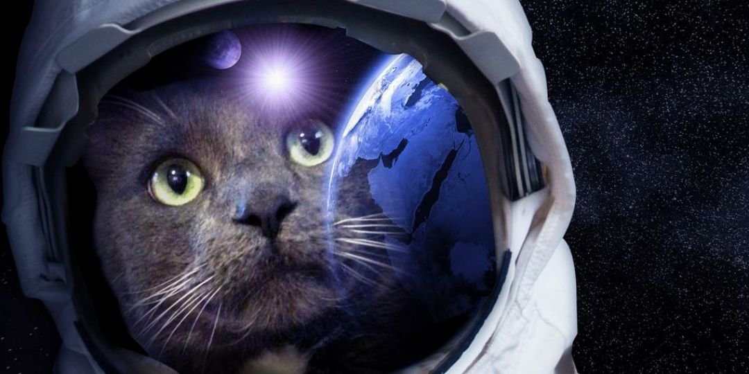 P_HoPp_'s profile banner image