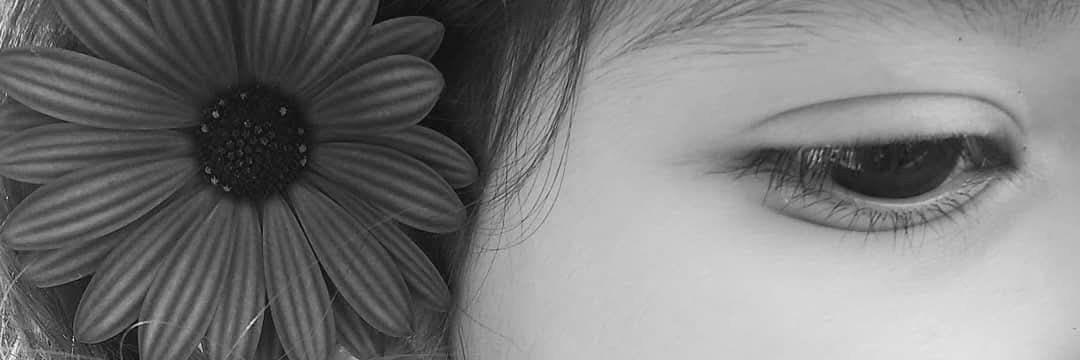 coqifloress's profile banner image