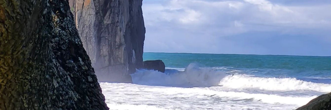 adibecause's profile banner image