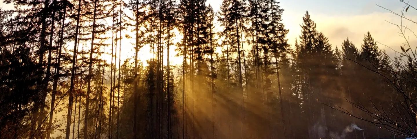 subykep's profile banner image
