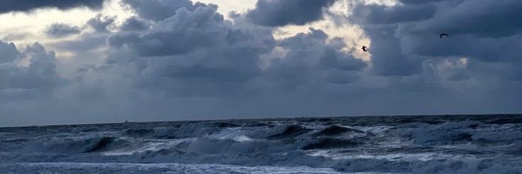 samosmsma's profile banner image