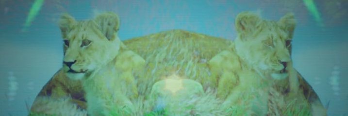 betafrontiers's profile banner image