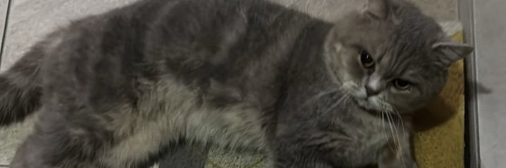 nwlsgthvee's profile banner image