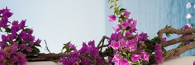 mesh4114's profile banner image