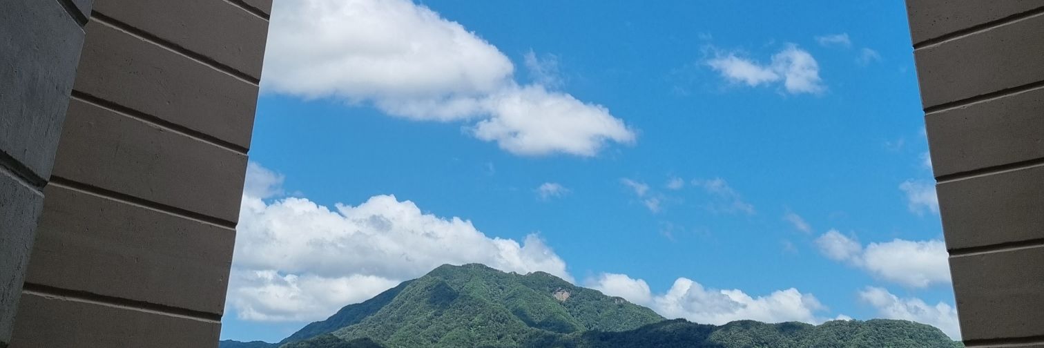 catnflower's profile banner image