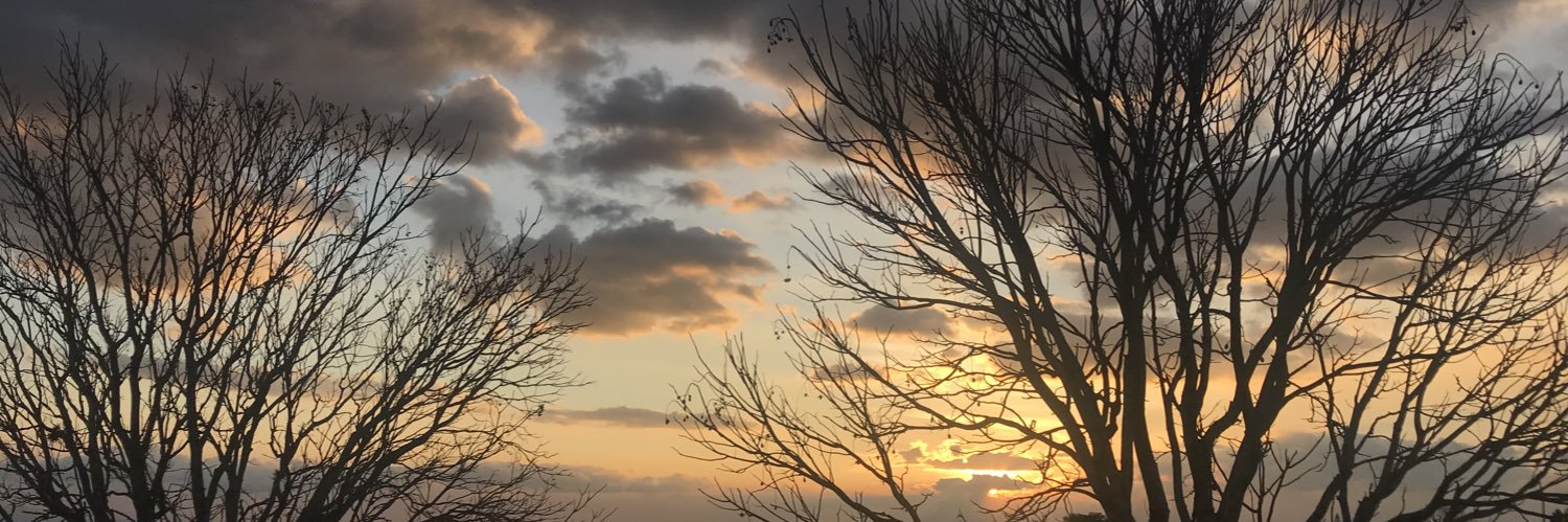 lausabo's profile banner image