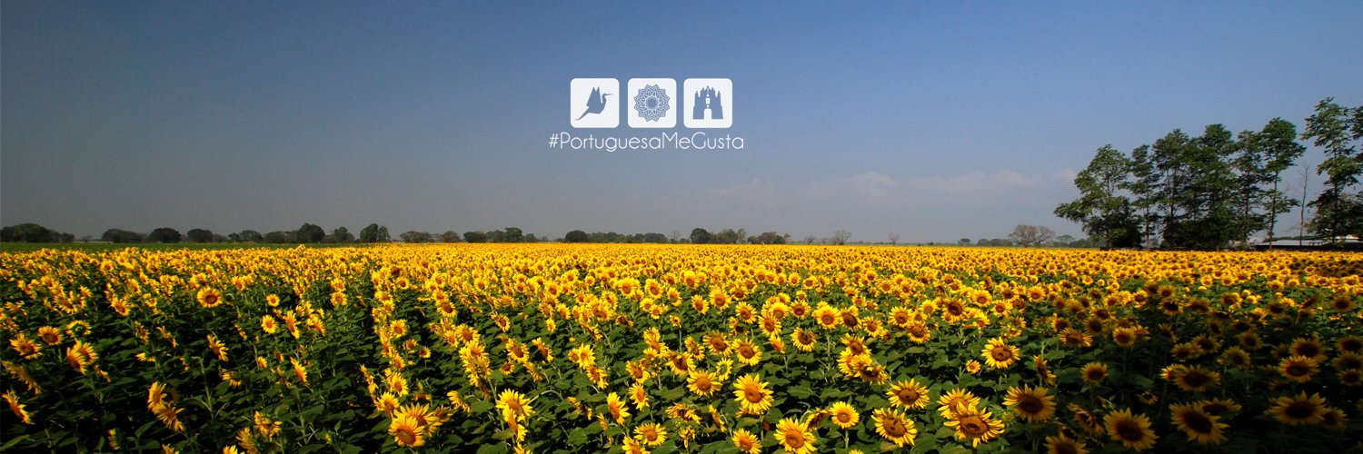 PortuguesaMG's profile banner image