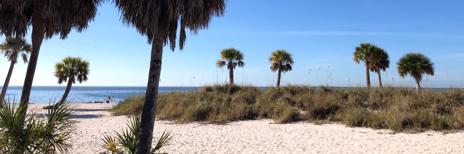 Leroy Bridges banner