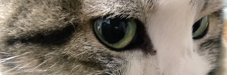 むら banner