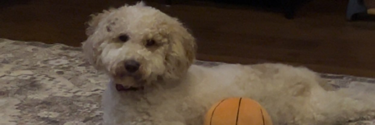 PuckettMichaela's profile banner image