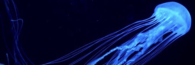 TomTomTen's profile banner image