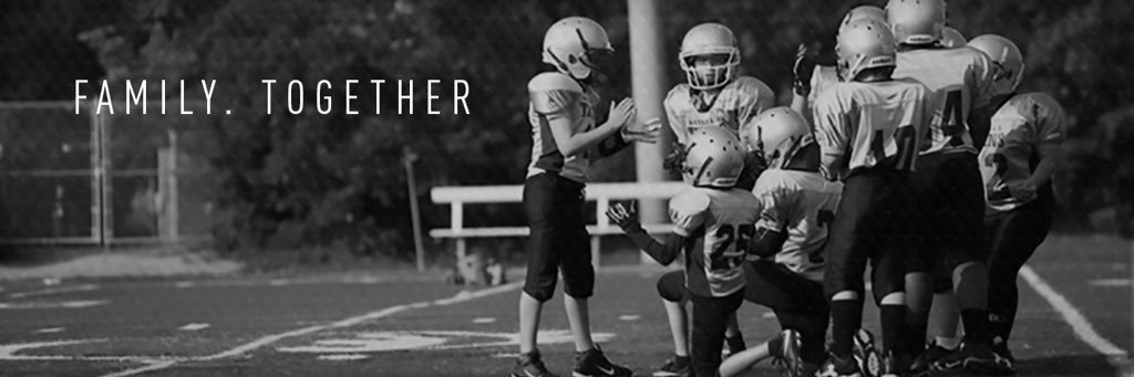 Oakville Titans banner