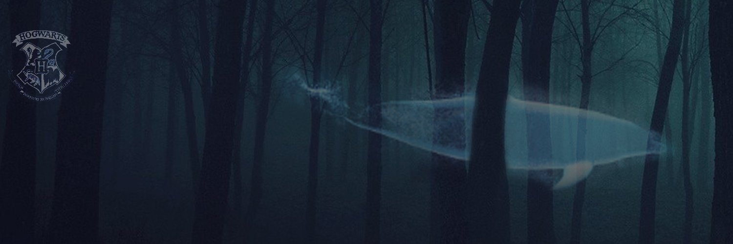 andreviinis's profile banner image