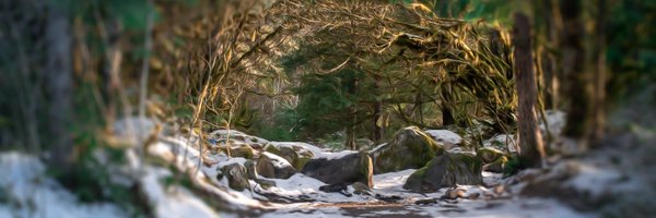 MonaLucas_Photo Profile Banner