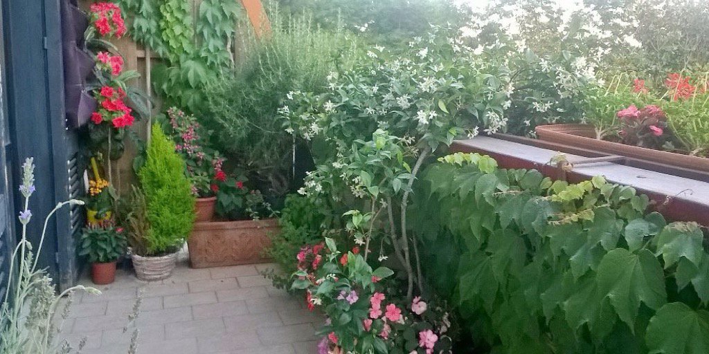 antonellacucciniello banner