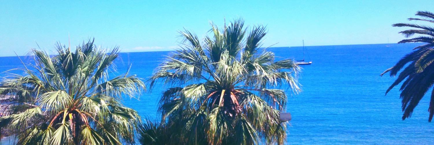 srsidi's profile banner image